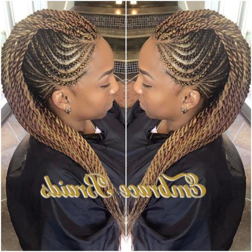Fully Braided Mohawk Hairstyles (Photo 3 of 20)