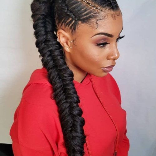 Micro Braids Hairstyles In Side Fishtail Braid (Photo 4 of 20)