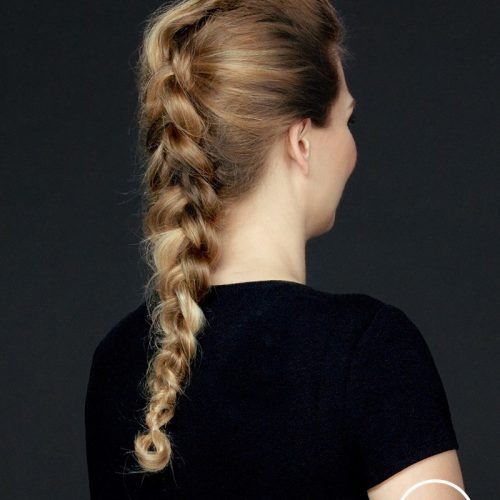 Curvy Braid Hairstyles And Long Tails (Photo 20 of 20)