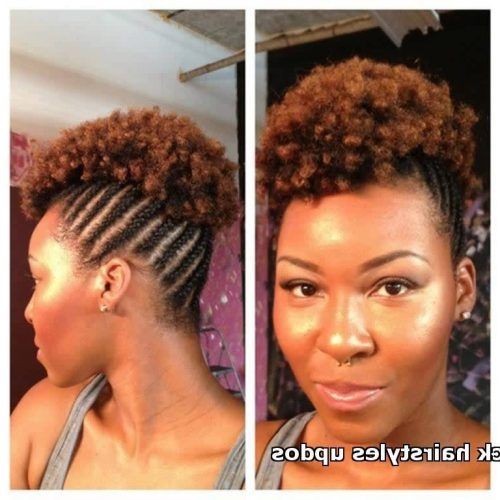 Braided Updo Black Hairstyles (Photo 10 of 15)