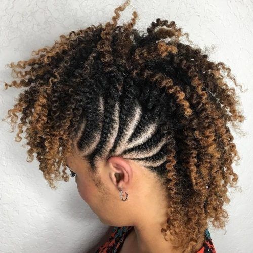 Curly Mohawk With Flat Twisted Sides (Photo 1 of 15)