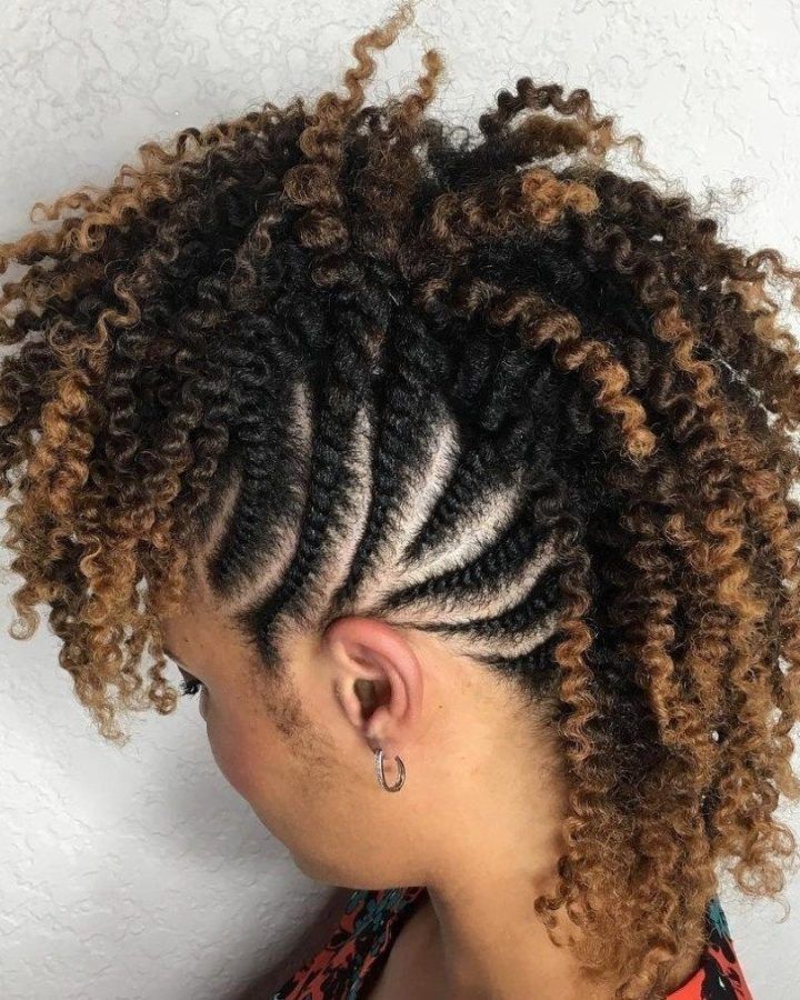 15 Best Ideas Curly Mohawk with Flat Twisted Sides