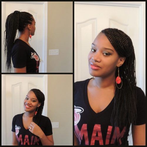 Black Layered Senegalese Twists Pony Hairstyles (Photo 6 of 20)