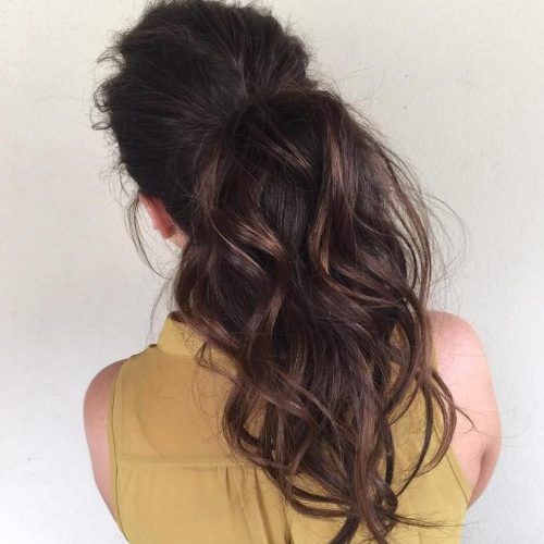 Ponytail Hairstyles For Brunettes (Photo 1 of 20)