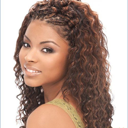 Micro Braided Hairstyles (Photo 20 of 20)