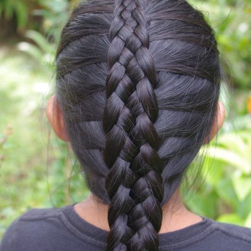 Defined French Braid Hairstyles (Photo 5 of 20)