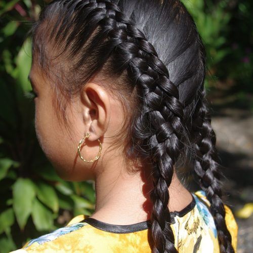 Double Rapunzel Side Rope Braid Hairstyles (Photo 11 of 20)