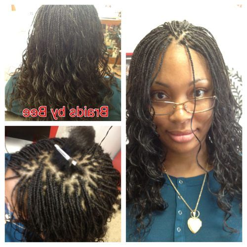 Micro Braid Hairstyles With Curls (Photo 2 of 20)