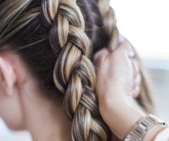 20 Photos Double Plaiting Ponytail Hairstyles