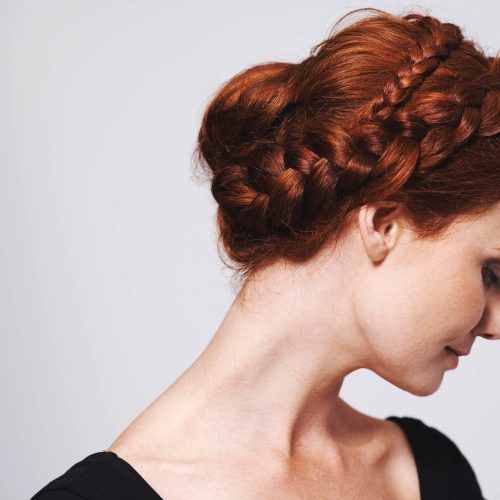 Twin Braid Updo Hairstyles (Photo 7 of 15)