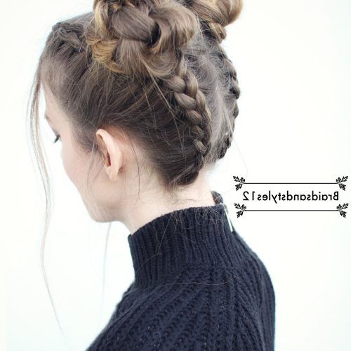 Pigtails Braided Hairstyles (Photo 7 of 15)