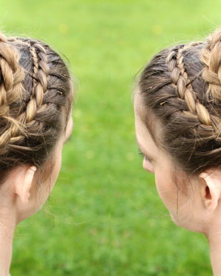 20 Inspirations Double-crown Updo Braided Hairstyles