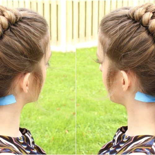 Diagonal Two French Braid Hairstyles (Photo 8 of 15)