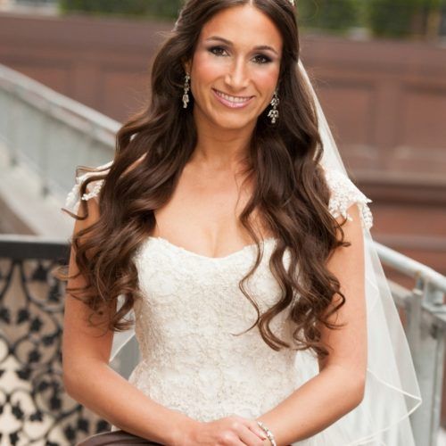 Wedding Hairstyles For Long Hair Down With Tiara (Photo 8 of 15)