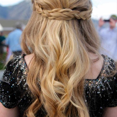 Braided Hairstyles With Hair Down (Photo 11 of 15)