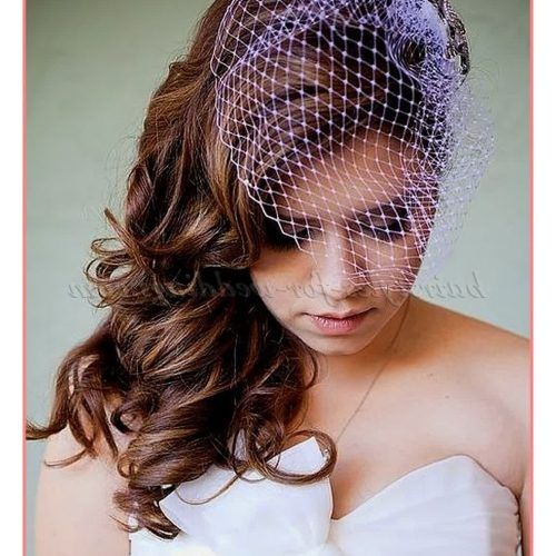 Wedding Hairstyles For Long Hair With Birdcage Veil (Photo 10 of 15)