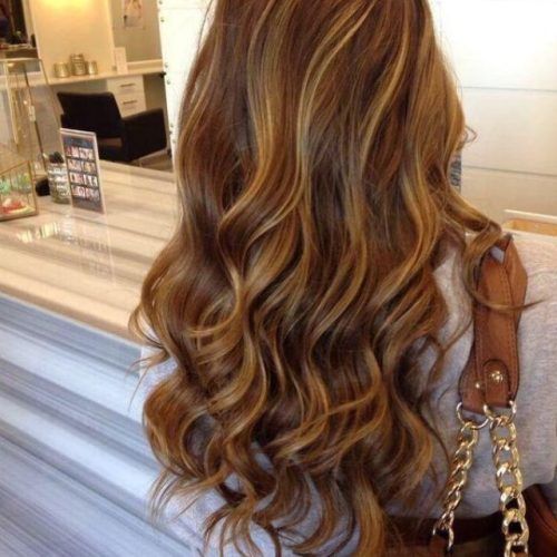 Honey Kissed Highlights Curls Hairstyles (Photo 5 of 20)