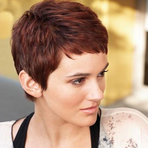 Brown Pixie Haircuts (Photo 19 of 20)