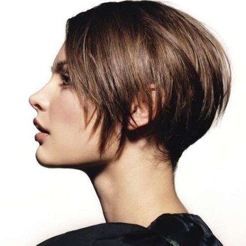 Brunette Short Hairstyles (Photo 17 of 20)