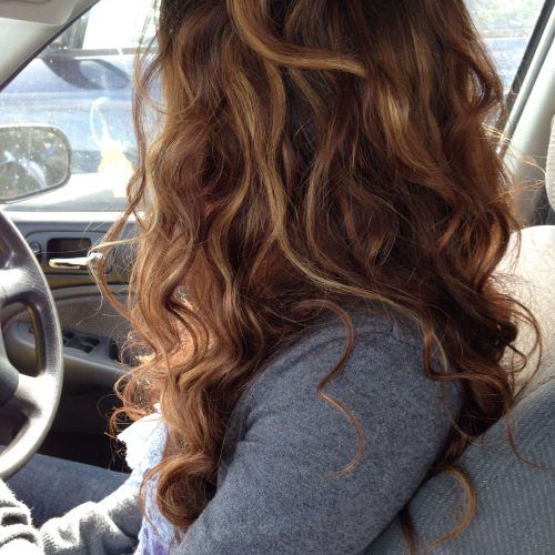 Natural Curls Hairstyles With Caramel Highlights (Photo 1 of 20)