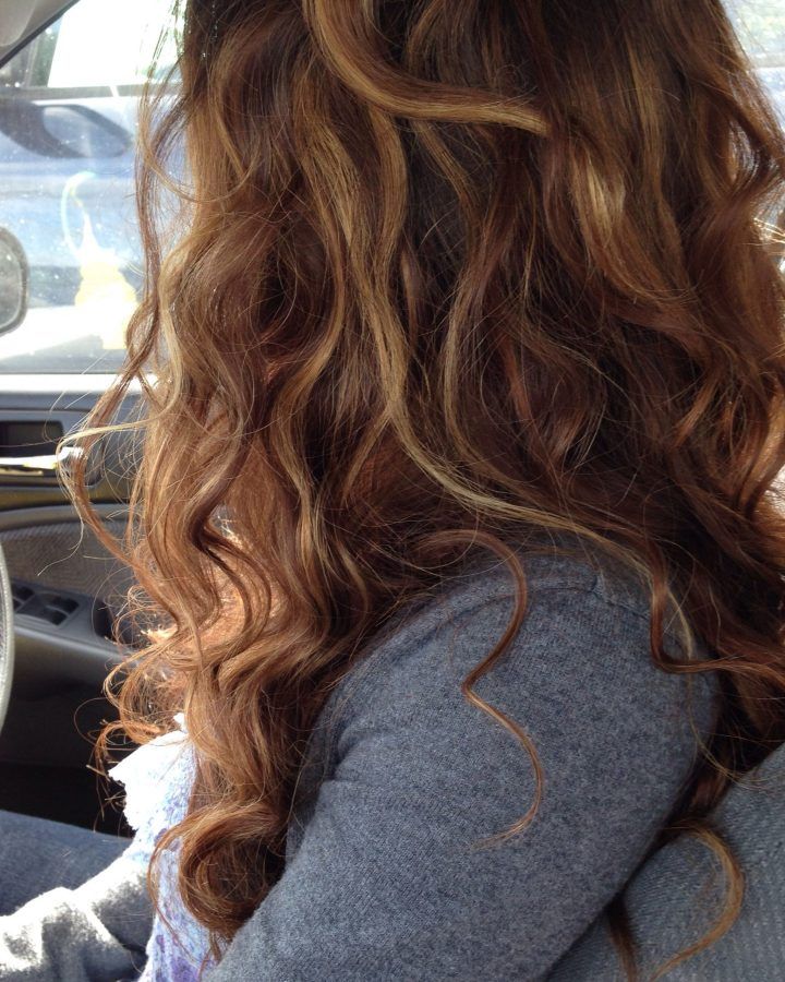 20 Collection of Natural Curls Hairstyles with Caramel Highlights