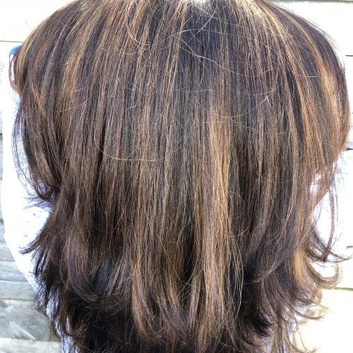 Natural Brown Hairstyles With Barely-There Red Highlights (Photo 12 of 20)