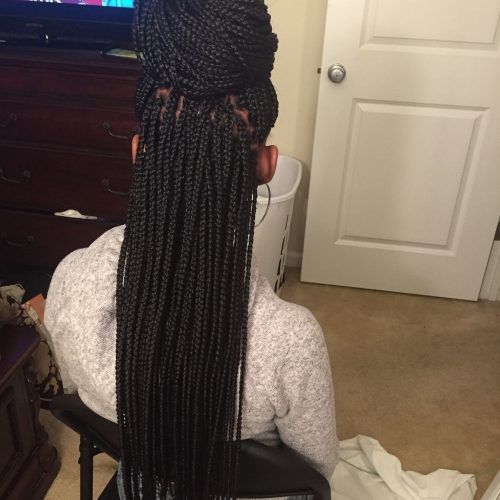 Two Extra Long Braids (Photo 2 of 15)