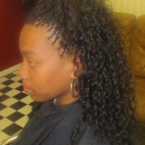 Micro Braids Hairstyles In Side Fishtail Braid (Photo 18 of 20)