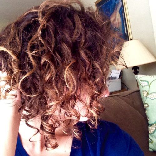Nape-Length Curly Balayage Bob Hairstyles (Photo 12 of 20)