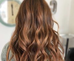 20 Best Ideas Warm-toned Brown Hairstyles with Caramel Balayage