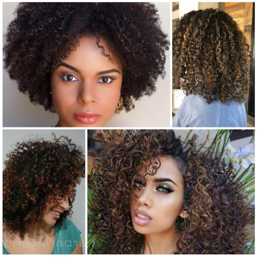 Brown Curly Hairstyles With Highlights (Photo 18 of 20)