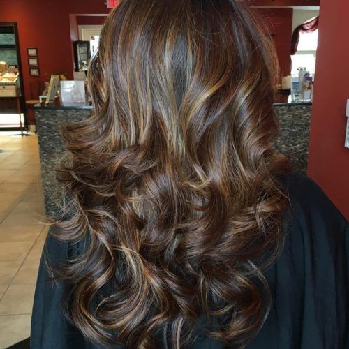 Deep Chocolate Curls Hairstyles With High Contrast Highlights (Photo 5 of 20)