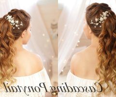 20 Ideas of Cascading Ponytail Hairstyles