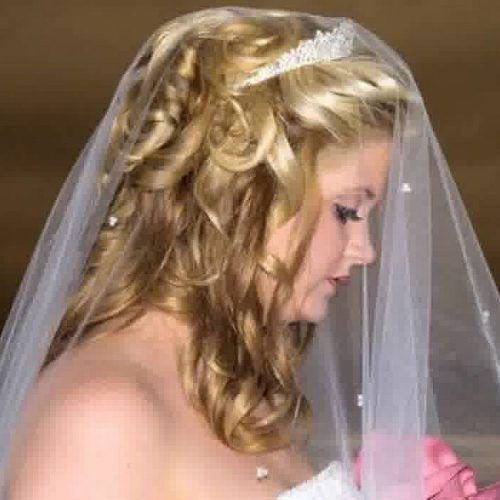 Wedding Hairstyles For Shoulder Length Hair With Veil (Photo 5 of 15)