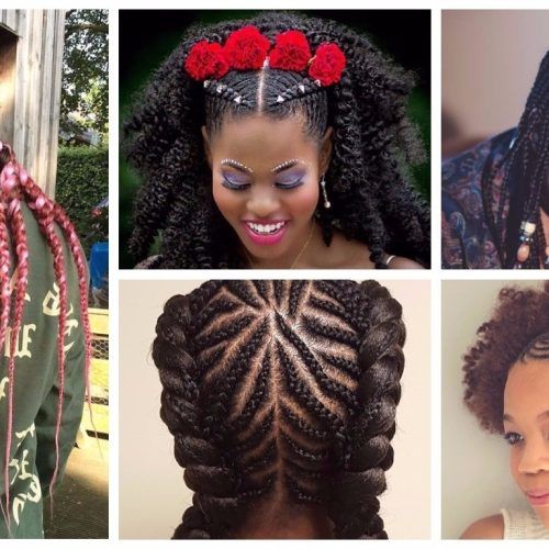 Cornrows Braided Hairstyles (Photo 14 of 15)