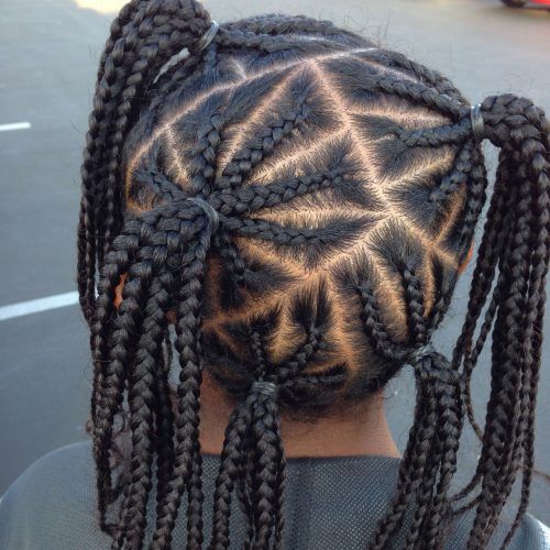 All-Over Braided Hairstyles (Photo 16 of 20)