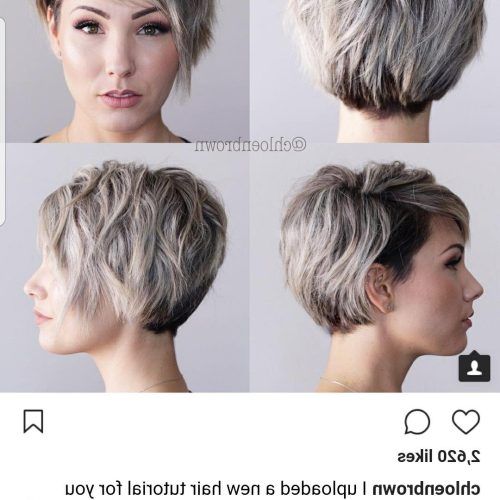 Long Feathered Espresso Brown Pixie Hairstyles (Photo 9 of 20)