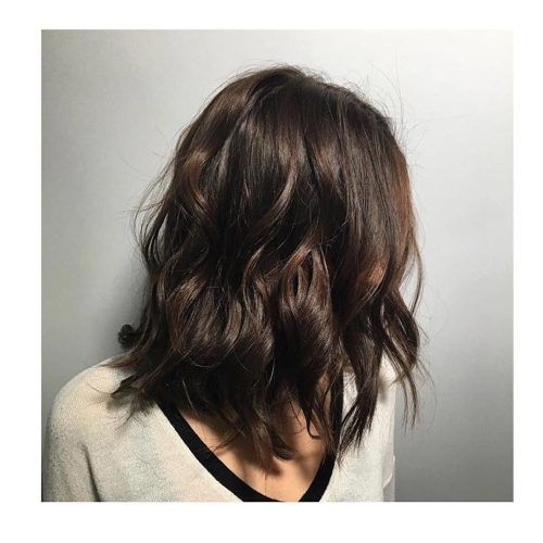Chopped Chocolate Brown Hairstyles For Long Hair (Photo 2 of 20)