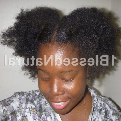 Reverse Flat Twists Hairstyles (Photo 11 of 15)