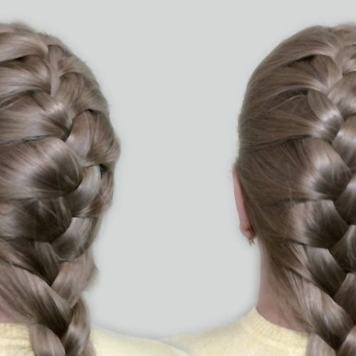 Two Classic Braids Hairstyles (Photo 11 of 15)