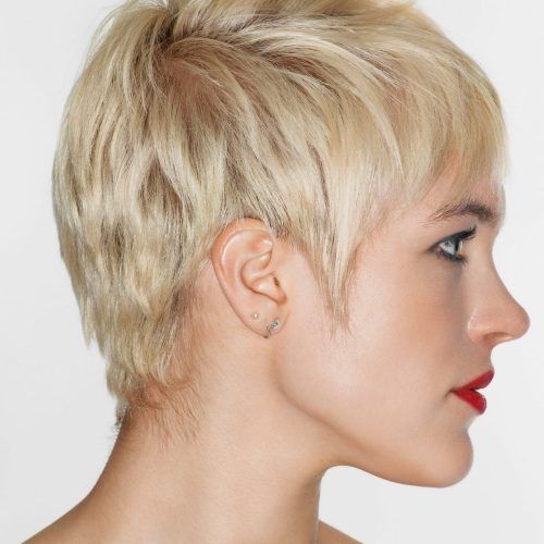 Classic Pixie Hairstyles (Photo 8 of 20)