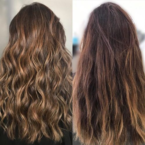 Honey Kissed Highlights Curls Hairstyles (Photo 12 of 20)