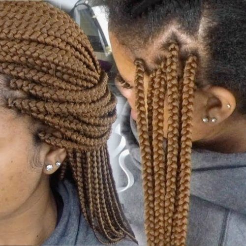 Braided Hairstyles With Color (Photo 12 of 15)