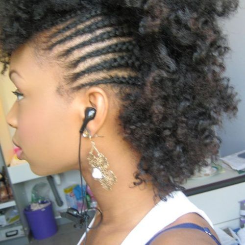 Curly Style Faux Hawk Hairstyles (Photo 4 of 20)