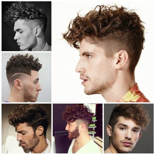Undercut Hairstyles For Curly Hair (Photo 2 of 20)