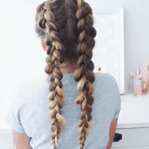 Messy Double Braid Hairstyles (Photo 2 of 15)