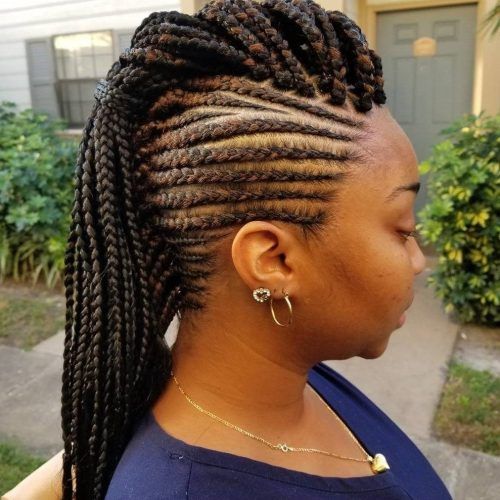 Box Braids And Cornrows Mohawk Hairstyles (Photo 3 of 15)