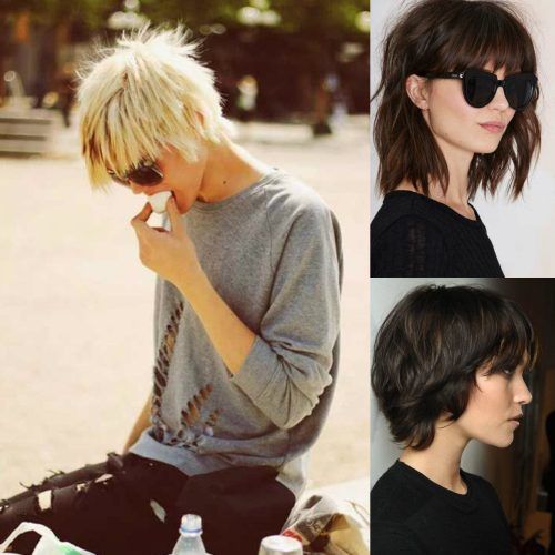 Short Shaggy Pixie Hairstyles (Photo 19 of 20)