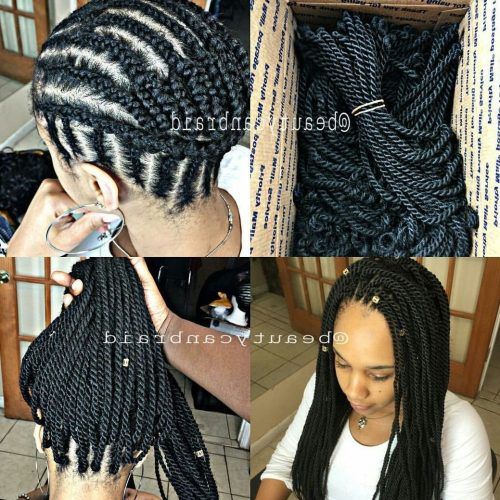 Cornrows And Senegalese Twists Ponytail Hairstyles (Photo 12 of 20)