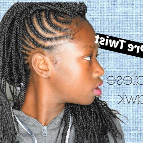 Twisted Braids Mohawk Hairstyles (Photo 17 of 20)